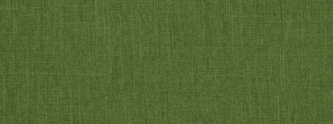 NEW YORK 200 AVOCADO